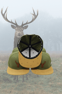 Cap Hirsch 3D