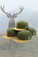 Cap Hirsch 3D