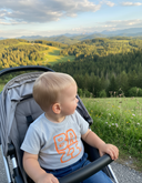 Ein kleiner Junge mit blonden Haaren sitzt in seinem Kinderwagen auf einem Hügel und blickt nachdenklich auf eine weite Landschaft mit grünen, bewaldeten Hügeln und einer Bergkette in der Ferne. Er trägt ein graues T-Shirt mit dem orangefarbenen "BAZI"-Aufdruck.